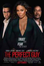 Watch The Perfect Guy Gomovies123