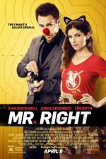 Watch Mr. Right Gomovies123