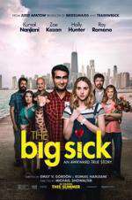 Watch The Big Sick Gomovies123