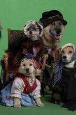 Watch Heidi 4 Paws Gomovies123