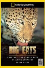 Watch National Geographic: Living With Big Cats Gomovies123