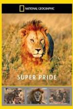Watch National Geographic: Super Pride Africa\'s Largest Lion Pride Gomovies123
