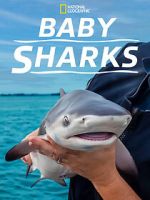 Watch Baby Sharks Gomovies123