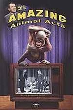 Watch Ed's Amazing Animal Acts Gomovies123
