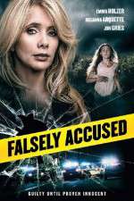 Watch Falsely Accused Gomovies123