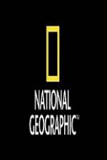 Watch National Geographic Wild Animal Attacks On Vacation Gomovies123