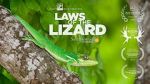 Watch Laws of the Lizard Gomovies123