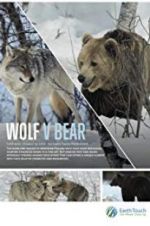 Watch Wolf vs Bear Gomovies123