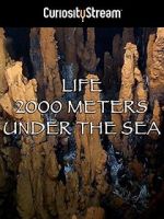Watch Life 2,000 Meters Under the Sea Gomovies123