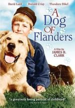 Watch A Dog of Flanders Gomovies123