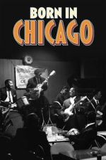 Watch Born In Chicago Gomovies123