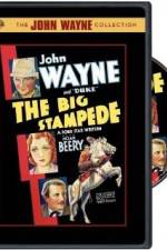 Watch The Big Stampede Gomovies123