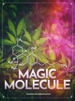 Watch Magic Molecule Gomovies123