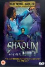 Watch Shao Lin zhen gong fu Gomovies123