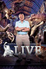 Watch David Attenborough\'s Natural History Museum Alive Gomovies123