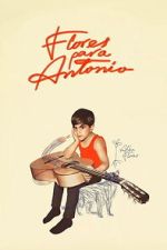 Watch Flores para Antonio Gomovies123