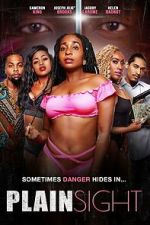 Watch Plain Sight Gomovies123