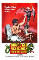 Watch Bruce Lee Fights Back from the Grave Gomovies123