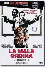 Watch The Italian Connection Gomovies123