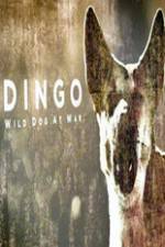 Watch Dingo Wild Dog at War Gomovies123