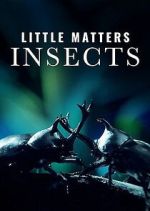 Watch Little Matters: Insects Gomovies123