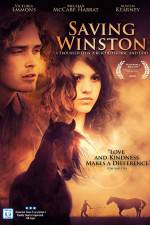 Watch Saving Winston Gomovies123