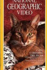 Watch Cats Caressing the Tiger Gomovies123