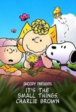 Watch Snoopy Presents: It's the Small Things, Charlie Brown (TV Special 2022) Gomovies123