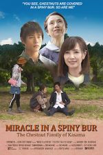 Watch Miracle in Kasama Gomovies123