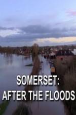 Watch Somerset: After the Floods Gomovies123