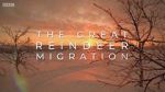 Watch All Aboard! The Great Reindeer Migration Gomovies123
