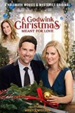 Watch A Godwink Christmas: Meant for Love Gomovies123