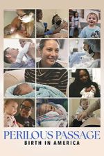 Watch Perilous Passage: Birth in America Gomovies123