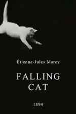 Watch Falling Cat Gomovies123
