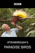 Watch Attenborough's Paradise Birds Gomovies123