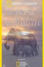 Watch Waking the Baby Mammoth Gomovies123
