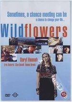 Watch Wildflowers Gomovies123