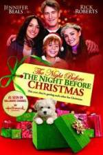 Watch The Night Before the Night Before Christmas Gomovies123