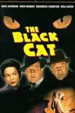 Watch The Black Cat Gomovies123