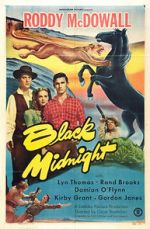 Watch Black Midnight Gomovies123