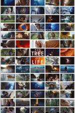 Watch The Tree of Life Gomovies123