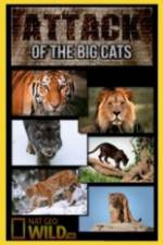 Watch National Geographic Attack Of The Big Cats Gomovies123