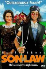 Watch Son in Law Gomovies123