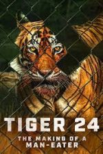 Watch Tiger 24 Gomovies123