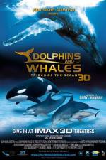 Watch Dolphins and Whales 3D Tribes of the Ocean Gomovies123