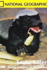 Watch National Geographic: Snake Killers Honey Badgers Of The Kalahari Gomovies123