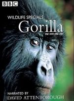 Watch Gorilla Revisited with David Attenborough Gomovies123