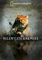 Watch Relentless Enemies Gomovies123