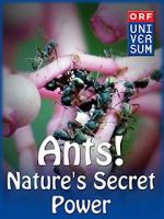 Watch Ants: Nature\'s Secret Power Gomovies123