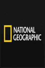 Watch National Geographic Wild Blood Ivory Smugglers Gomovies123